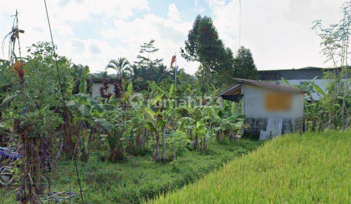 LAND IN FRONT OF VICEROY RESORT UBUD CHEAP PRICE BEAUTIFUL VIEW 1