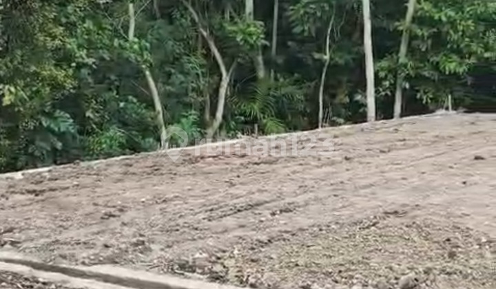 Tanah Kavling Termurah Kota Gianyar View Hutan