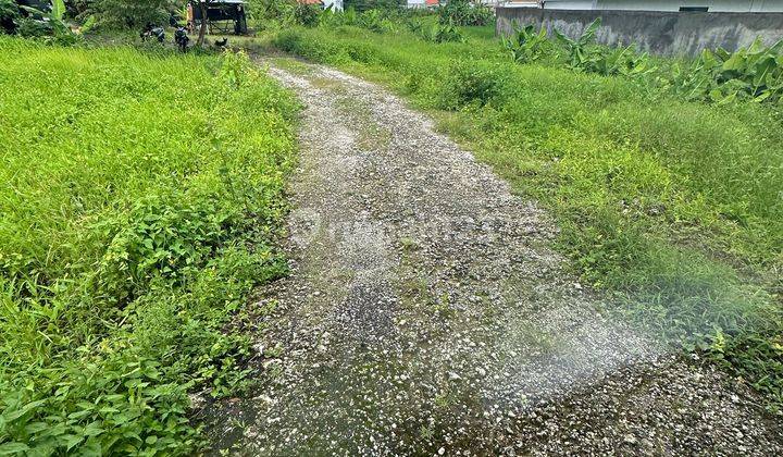 Tanah View Sawah Cantik Di Padonan Canggu Cocok Villa 2