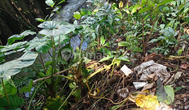 Land for Sale in Cepaka Selingsih Munggu, Near Tumbak Bayuh