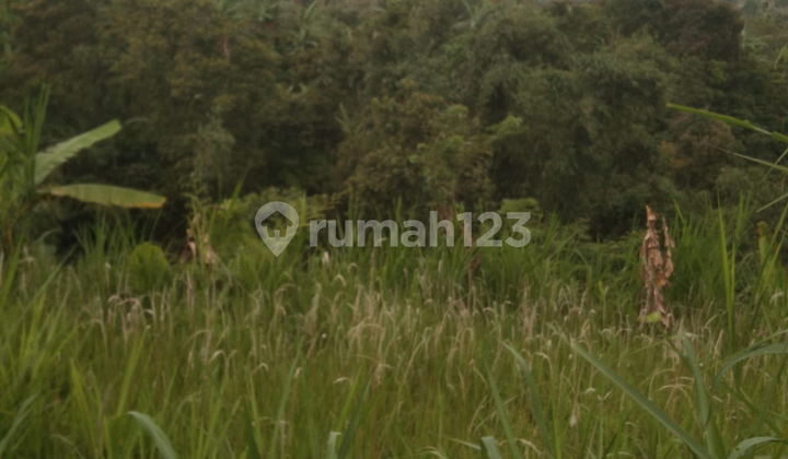 Land with a Cool View in Wanagiri, Affordable Price, Ready to Build