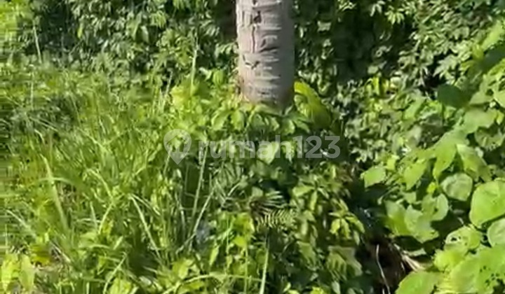 Tanah View Bagus Cocok Vila Rental Harga Murah 