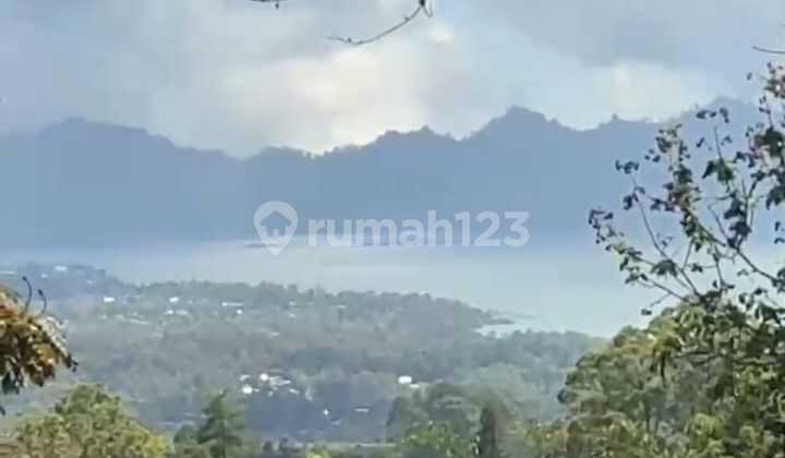 For Rent Land in Penelokan Kintamani Beside the Main Road For Rent Land in Penelokan Kintamani Beside the Main Road