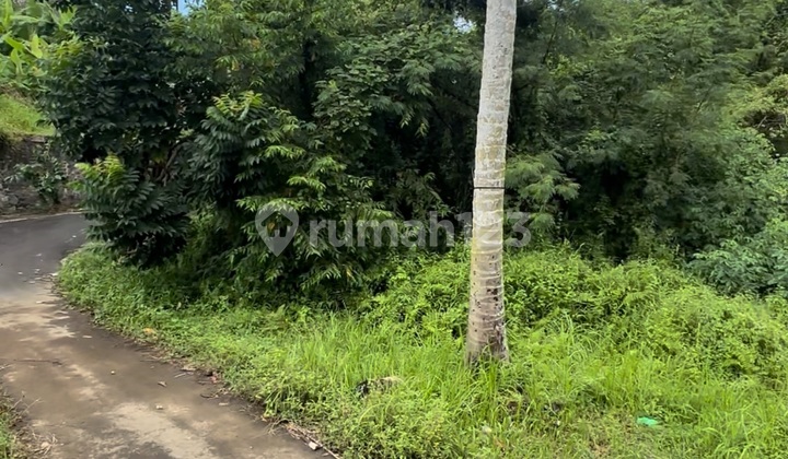 Tanah Murah Pejeng Kelod View Hutan Sungai