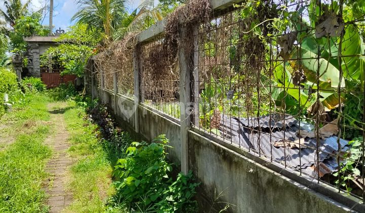 Dijual Tanah di Penestanan Central Ubud