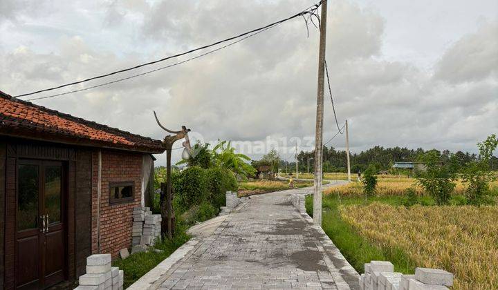 Tanah Bonus Rumah Joglo Siap Huni View Sawah Abadi 2