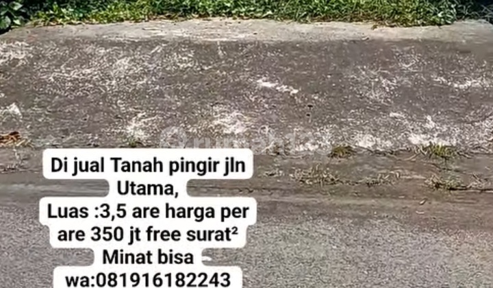 Tanah Murah Zona Kuning Jalan Besar Siap Bangun Villa Tanah Murah Zona Kuning Jalan Besar Siap Bangun Villa