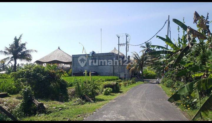 LAND WITH RICE FIELD VIEW, VILLA SUITABLE FOR RENTAL BUSINESS 2