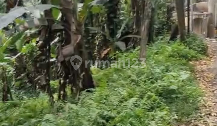 Land for Rent in Bangkiang Sidem, Ubud Area – River View