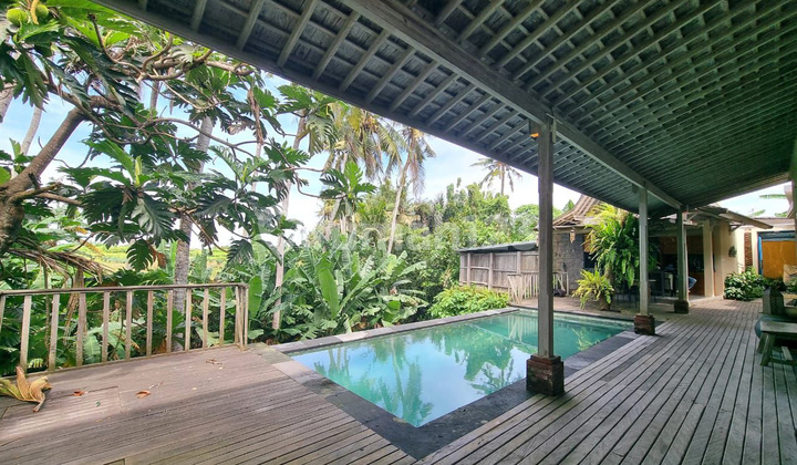 For Sale: Villa at Purnama Beach with Rice Field and River Views For Sale: Villa at Purnama Beach with Rice Field and River Views