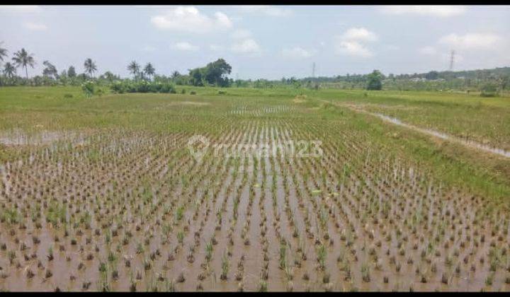 Dijual Tanah Kavling di Desa Tenjolaya, Cicurug, Sukabumi 1