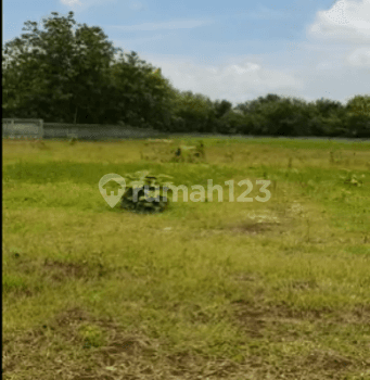 Dijual Tanah 22.500 m² Zona Industri di Semanu, Gunung Kidul 2