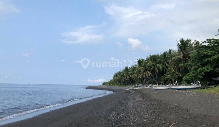 Sour coral. Bali. on land in TIANYAR
LOS PANTAI and location close to the main road 
Karang Asem
Bali 1