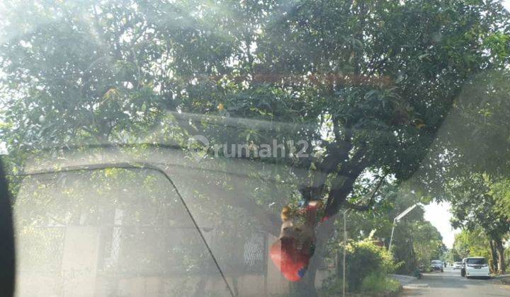 Rumah di Intercon
Taman Kebon Jeruk
Blok Depan
Jakarta Barat. TIDAK BANJIR.  2