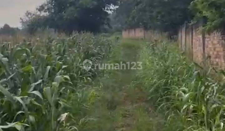 Jarang Ada.. Lokasi Bagus Dan Strategis. Turun Harga Dari 2jt Per Meter Jadi 1.7 Per Meter.posisi Ada Di Pinggir Jalan Lintas Sumatera, Lebar Akses Jalan Untuk 2 Arah Bisa Dilewati Truk Kontainer. Cocok Untuk Pabrik Air Minum Karena Ada Sumber Mata Air. C 1