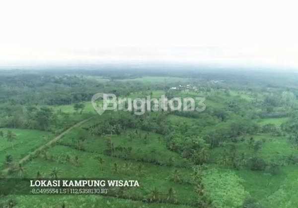 Investor Alert - 23 Hectares of Land in Ngajum, Malang