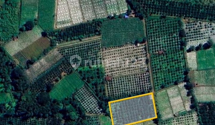 Lahan Jeruk Aktif Luas & Strategis - Karangploso