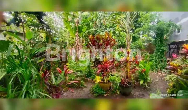 Tanah Strategis Belakang Universitas Kanjuruhan Malang  1