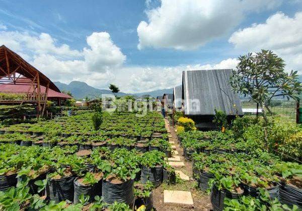 DIJUAL Ruang Usaha Bagus View Gunung, Sejuk Di Pujon Kidul Kabupaten Malang  2