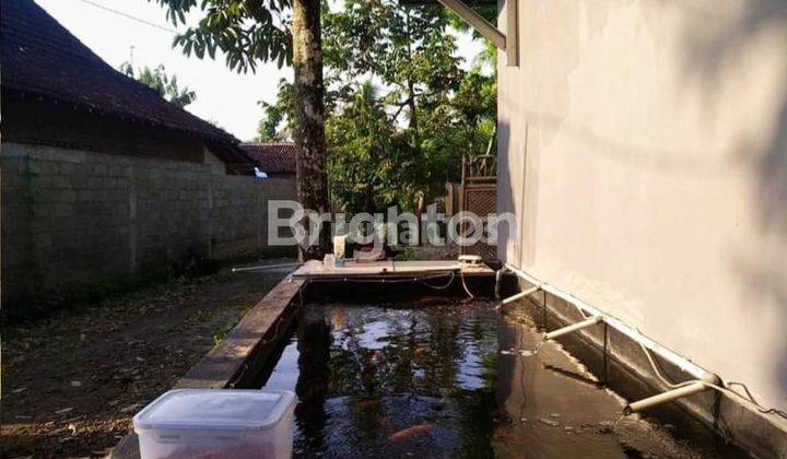 Rumah Luas Harga Murah Kesamben Blitar Strategis 2