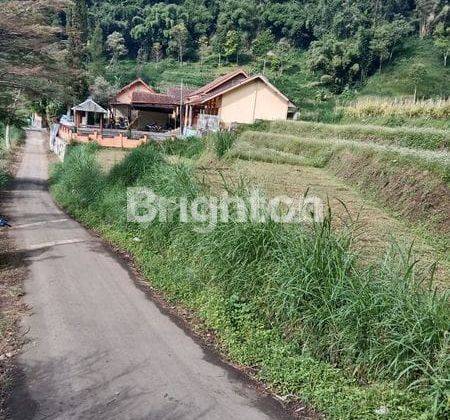 Tanah Gunungsari Bumiaji Batu Dijual Murah Cepat B.u View Gunung 1