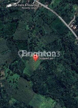 Land Area 12500 Balesari Ngajum Strategic Land Area 12500 Balesari Ngajum Strategic