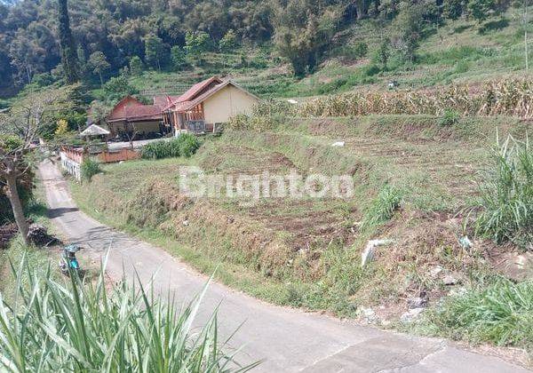 Tanah Gunungsari Bumiaji Batu Dijual Murah Cepat B.u View Gunung 2