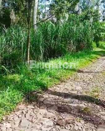 Wide Land Babadan Ngajum - Truck Access