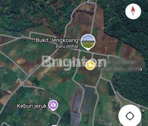 Tanah 35 Ha Cocok untuk Resort atau Peternakan di Bumiaji, Kota Batu, Jawa Timur 1