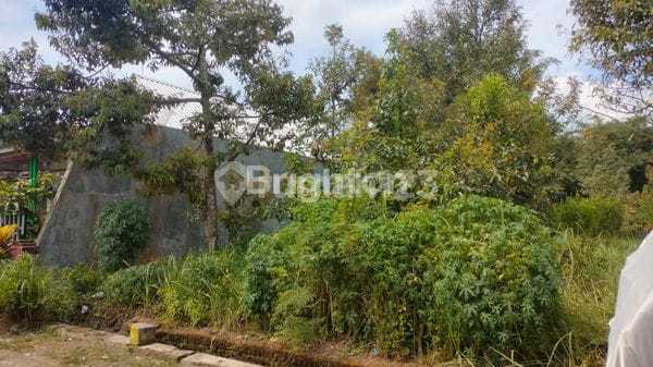 Tanah Kosong Daerah Sutojayan, Pakisaji, Kab. Malang Tanah Kosong Daerah Sutojayan, Pakisaji, Kab. Malang