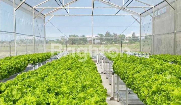 Greenhouse Plus Rumah jaga strategis Kepanjen 1