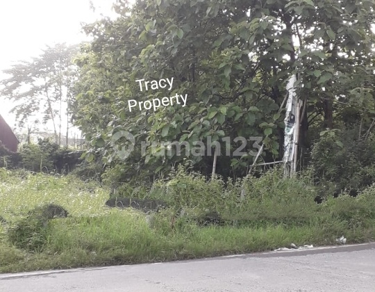 Land in Sendangmulyo 2