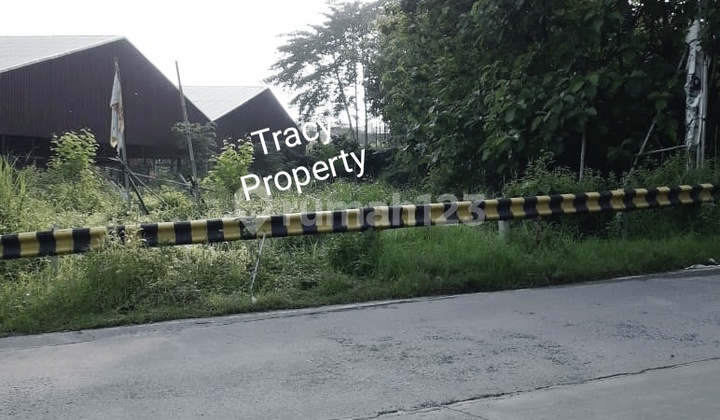 Land in Sendangmulyo 1