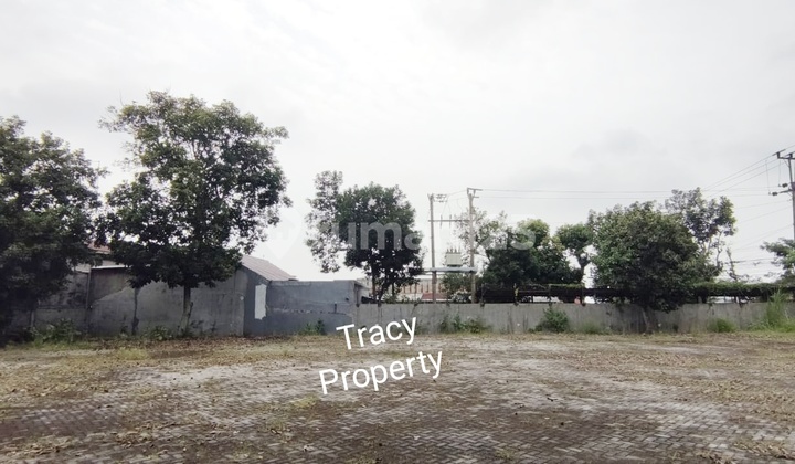 Tanah Rata di Ngalian