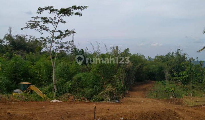 DIJUAL TANAH REKSOSARI, SURUH, SALATIGA 1