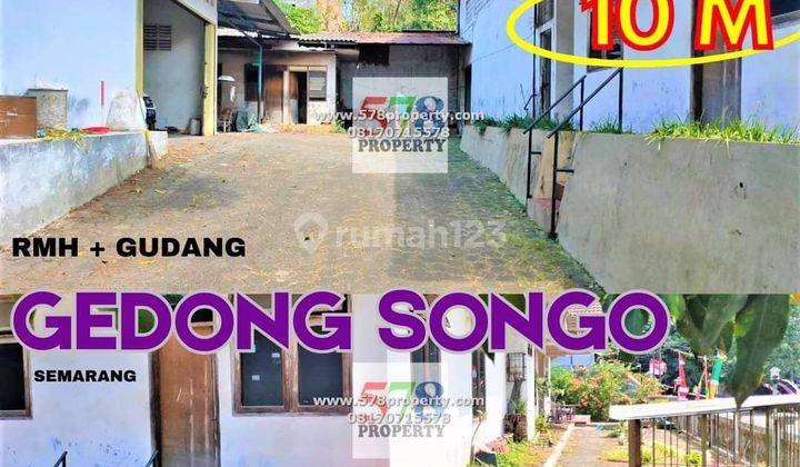 Rumah + Gudang Gedong Songo, Semarang Barat 1