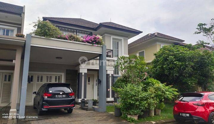 Sutera Palmyra Dan Onyx 200mtr 4m  2