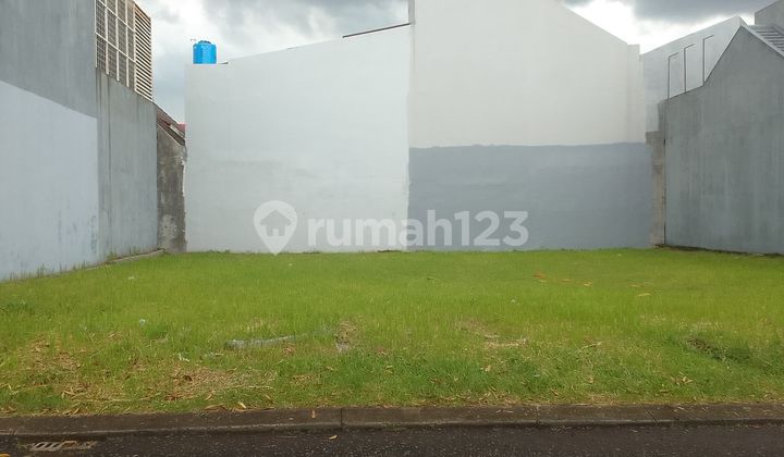 RARE ONYX JELITA LAND PLOT