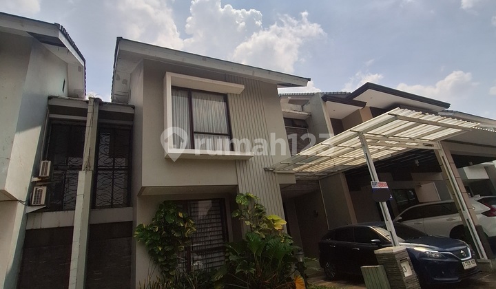 Sutera Palmyra Palma 200 Bagus Rapi Sutera Palmyra Palma 200 Bagus Rapi