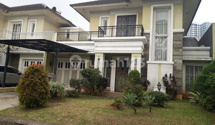 OLIVIA HOUSE 240 CHEAPEST 2