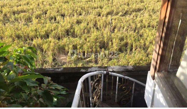 VILLA VIEW SAWAH GUNUNG SALAK KEROBOKAN BALI 2