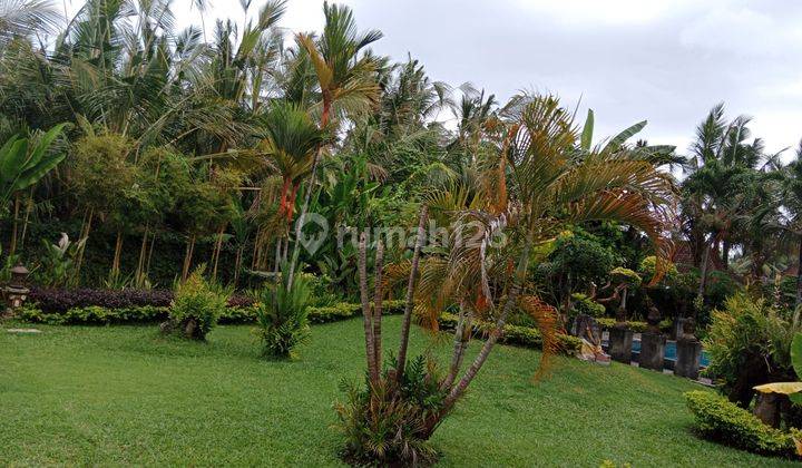 VILLA LUAS DAN BAGUS GIANYAR BALI 9