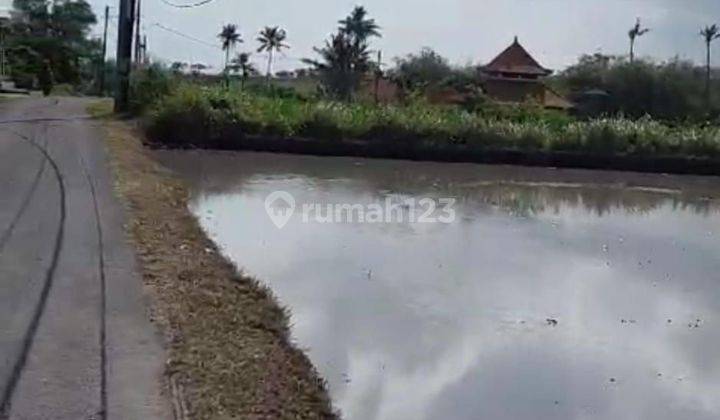 LAND NEAR CEMAGI BEACH BALI 2