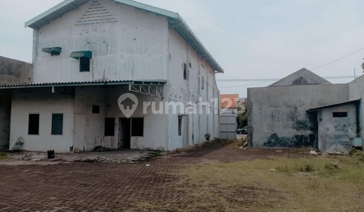 Jual Gudang Bonus Rukan di Wadungsari Sidoarjo  1