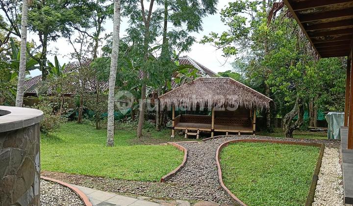 BUY 7785 M2 LAND BONUS FULLY MAINTAINED VILLA WITH FULL FACILITIES BY THE MAIN ROAD BUY 7785 M2 LAND BONUS FULLY MAINTAINED VILLA WITH FULL FACILITIES BY THE MAIN ROAD
