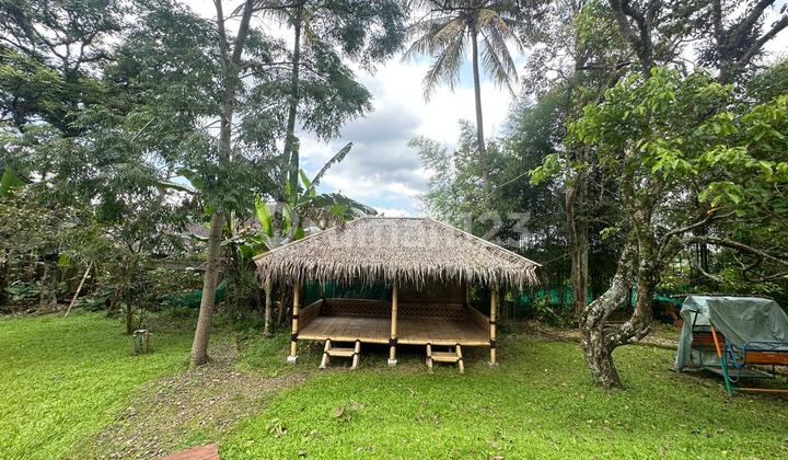 BUY 7785 M2 LAND BONUS FULLY MAINTAINED VILLA WITH FULL FACILITIES BY MAIN ROAD