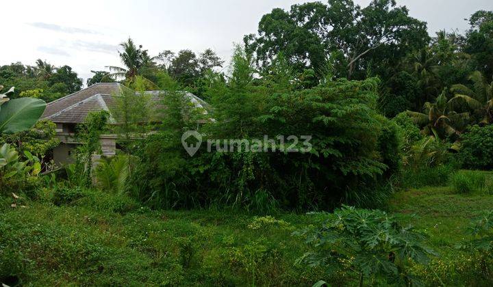 Stunning Villa In Ubud 2