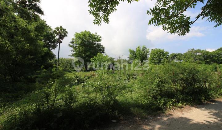 Nusa Penida 32.55 Are Beach Front Land Sampalan Beach Nusa Penida 4