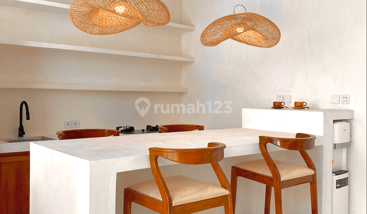 Brand New 1 Bedroom Canggu Villa 2