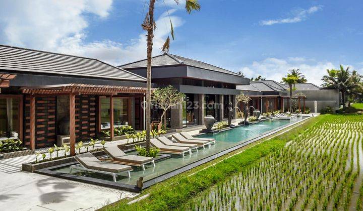 Extraordinary Villa Ubud 5 Min From The The Town Leasehold 29 Years ++ Highly Profitable 2